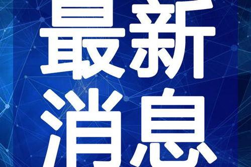 最新八卦爆料衣哥视频,揭秘娱乐圈不为人知的秘密
